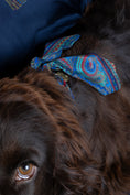 Charger l'image dans la visionneuse de la galerie, Foulard de soie Bleu cachemire