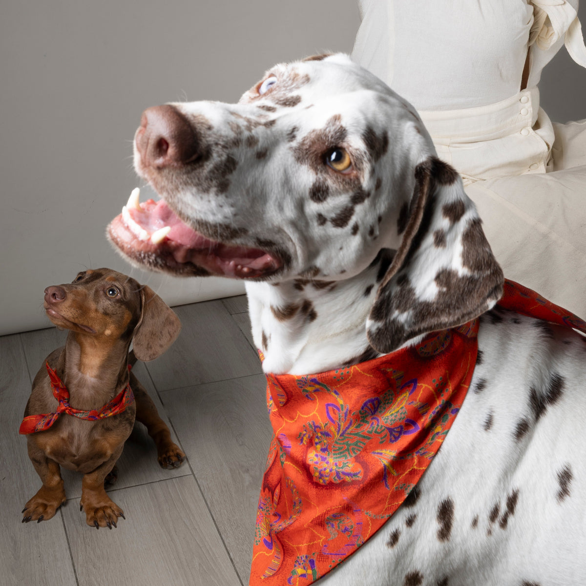 Duo de foulards