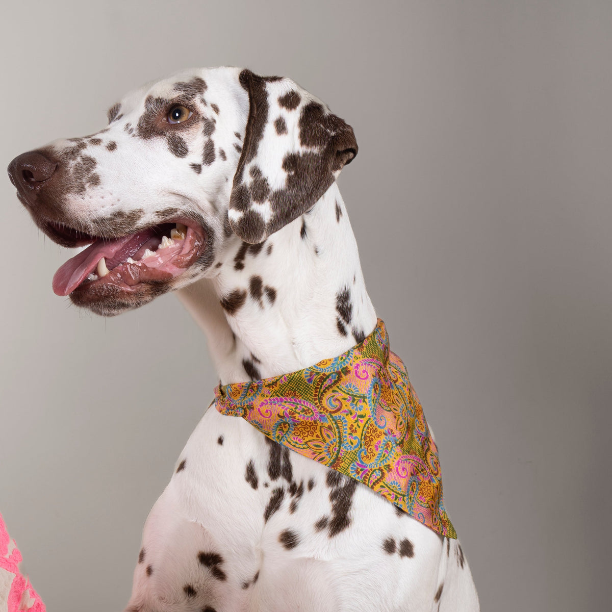 Duo de foulards - Mix & Match