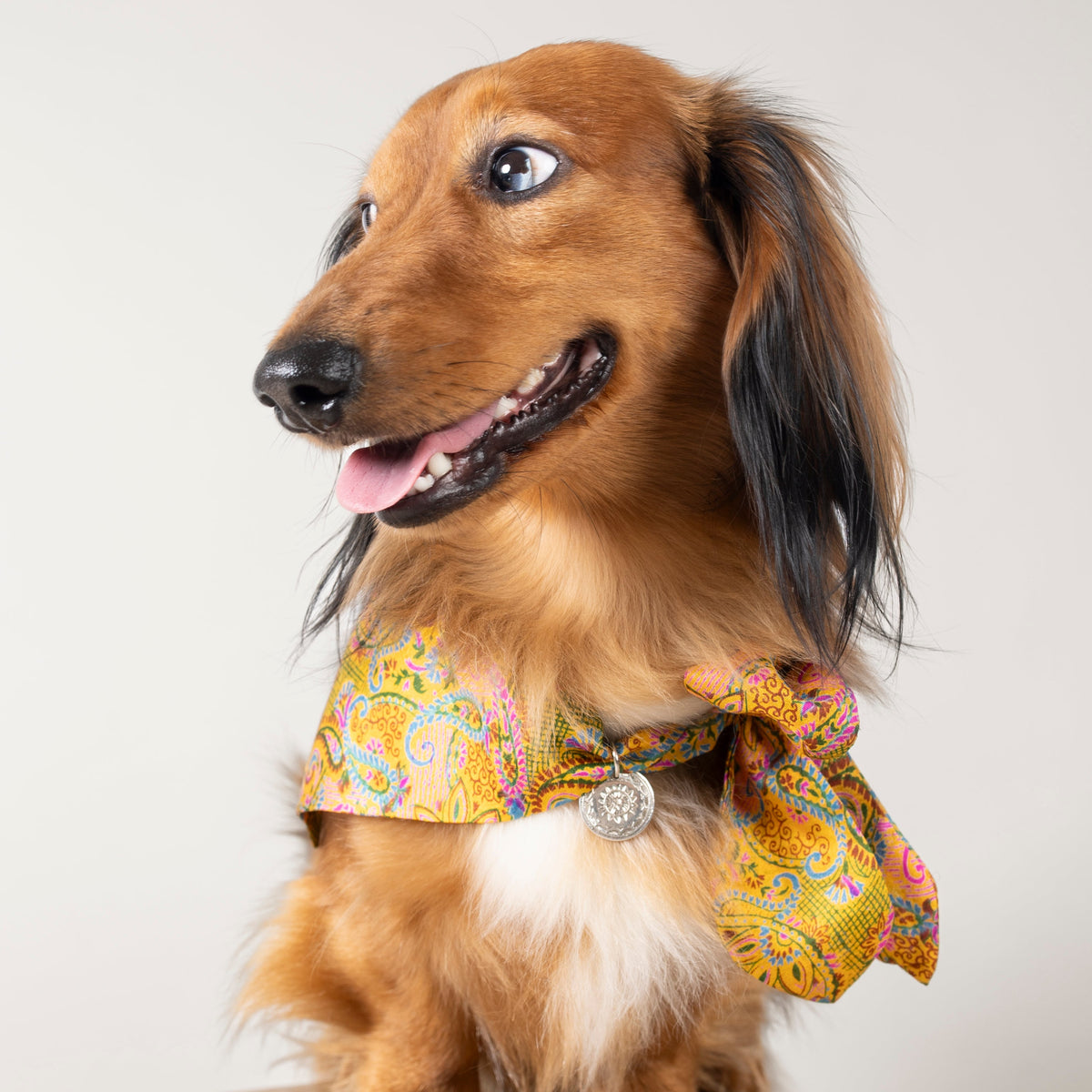 Foulard de soie Joy