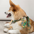 Charger l'image dans la visionneuse de la galerie, Duo de foulards - Mix & Match
