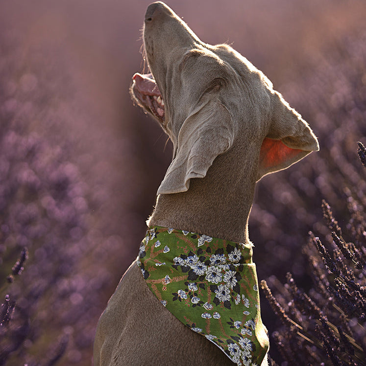 Duo de foulards - Mix & Match